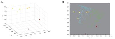 Digital Image Analysis Using FloCIA Software for Ornamental Sunflower Ray Floret Color Evaluation